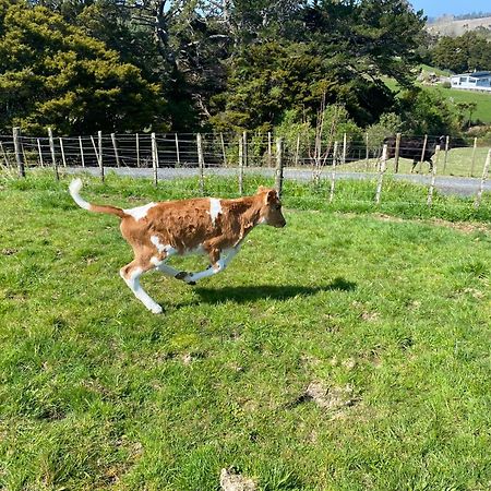Pukeatua Farmstay Waimauku Εξωτερικό φωτογραφία
