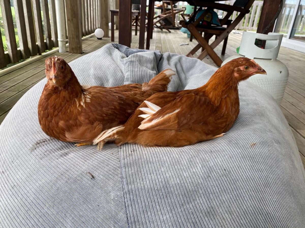 Pukeatua Farmstay Waimauku Εξωτερικό φωτογραφία