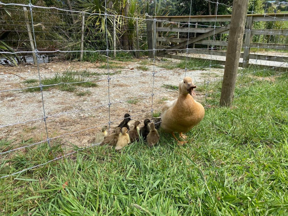 Pukeatua Farmstay Waimauku Εξωτερικό φωτογραφία