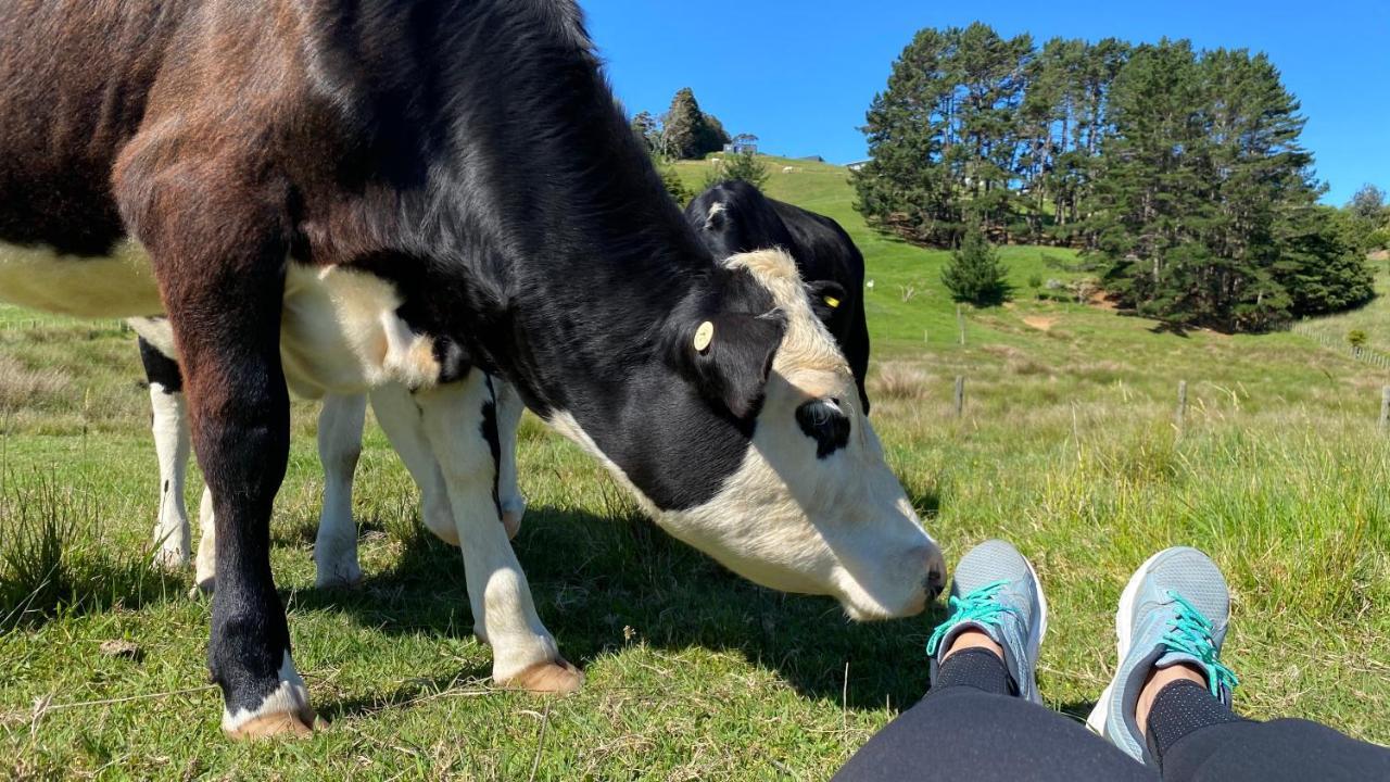 Pukeatua Farmstay Waimauku Εξωτερικό φωτογραφία