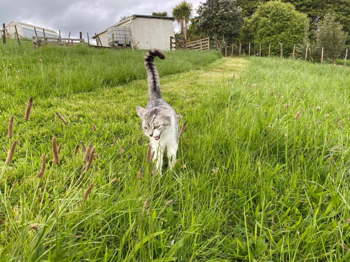 Pukeatua Farmstay Waimauku Εξωτερικό φωτογραφία