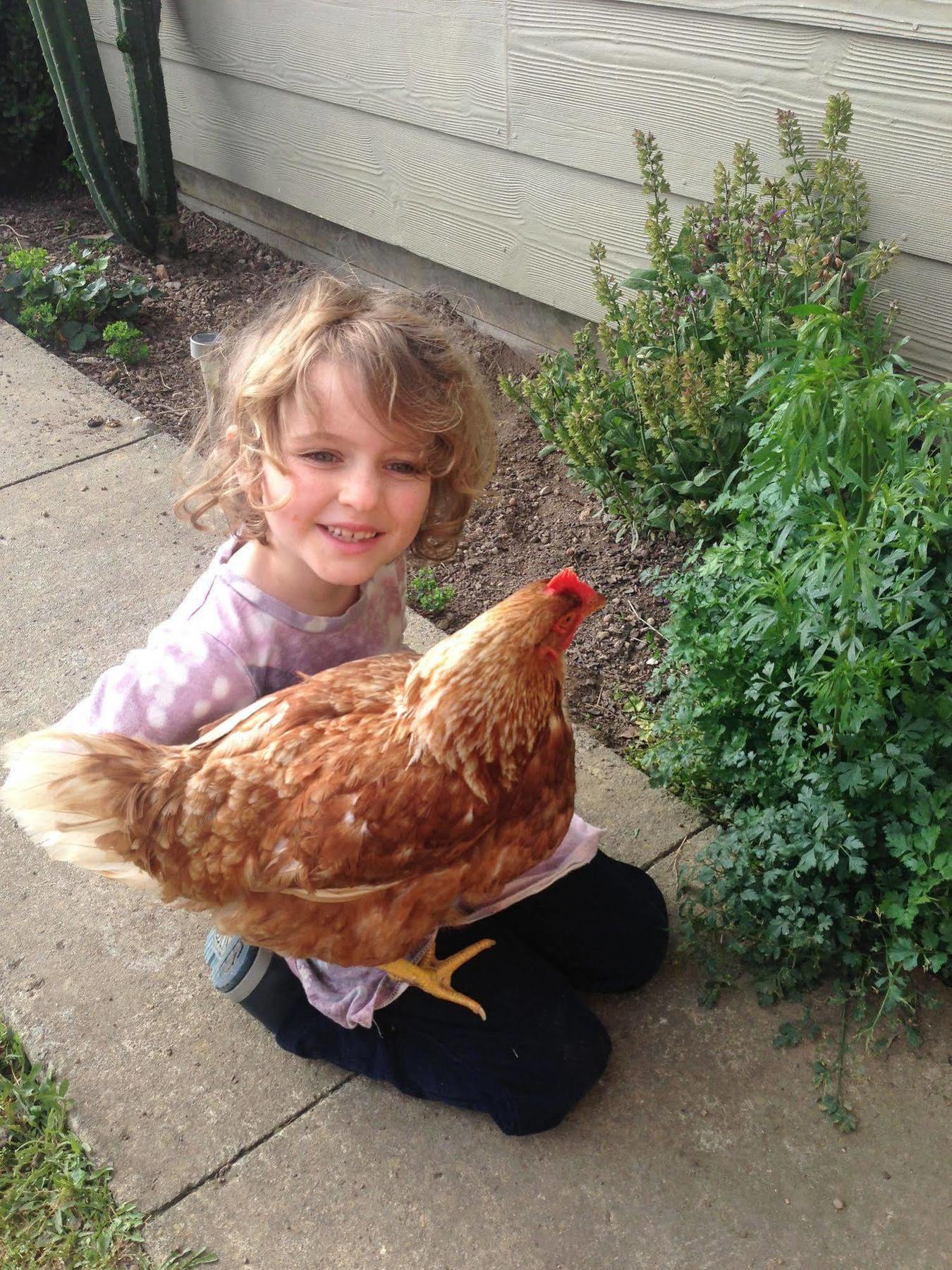 Pukeatua Farmstay Waimauku Εξωτερικό φωτογραφία