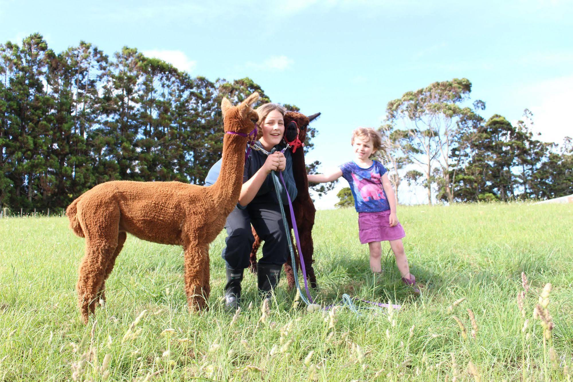Pukeatua Farmstay Waimauku Εξωτερικό φωτογραφία